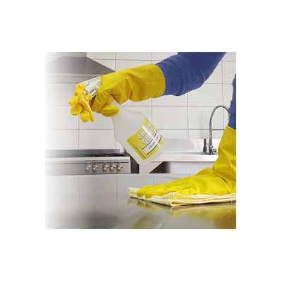 Chlor Guard - Sanitiser, Cleaner and Whitener with the Power of Bleach
