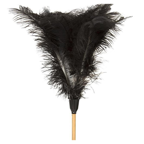 Feather Duster