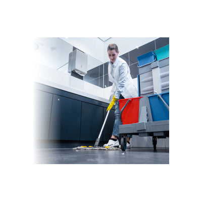 Pine Guard - Multipurpose Cleaner, Disinfectant and Freshener