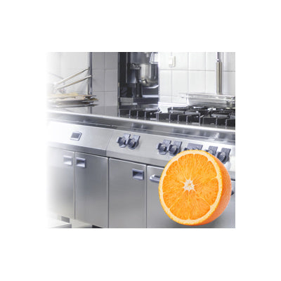 Solvdet Bio-Citrus - Intensive Surface Cleaner with the Power of Citrus